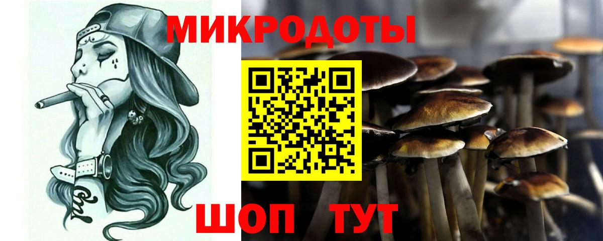 Галлюциногенные грибы Psilocybine cubensis  Вход с VPN  Алексин 