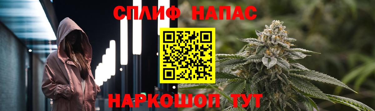 Каннабис сатива Алексин